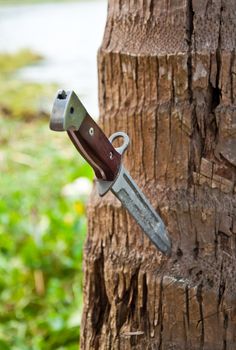 knife hiking