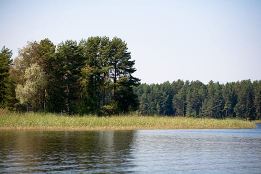 Summer landscape with forest and lake
