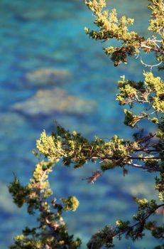 Crystal clear waters at Anthony Quinn Bay in Greece in soft focus through plant life