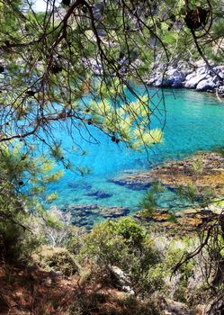 Crystal clear waters through trees in Greece