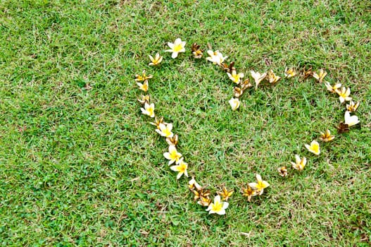 heart flowers