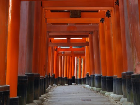 Path under the torii gate of Fushimi Inari Shrine