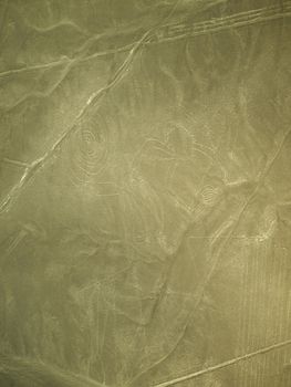 View from above of the monkey line at Nazca lines, Peru