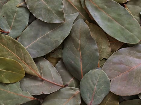 close up of dried geraniol leaves food background
