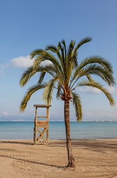 Morning image of an empty Mediteraneean beach with a palm tree and a wooden lifeguard station, located in Mallorca, Spain.