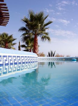 Tropical Scene with swimming pool and nice palm