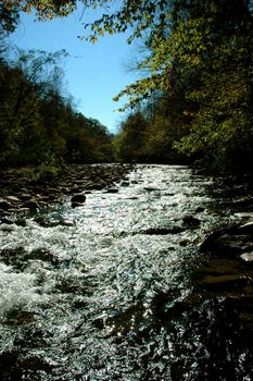 Gatlinburg River
