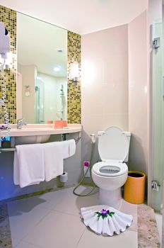 beautiful modern architecture of Toilet Interior