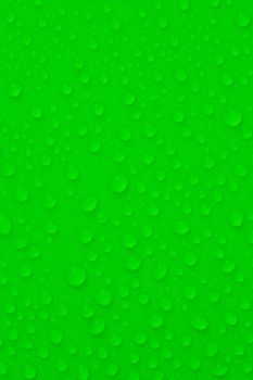 Water-drops on green background