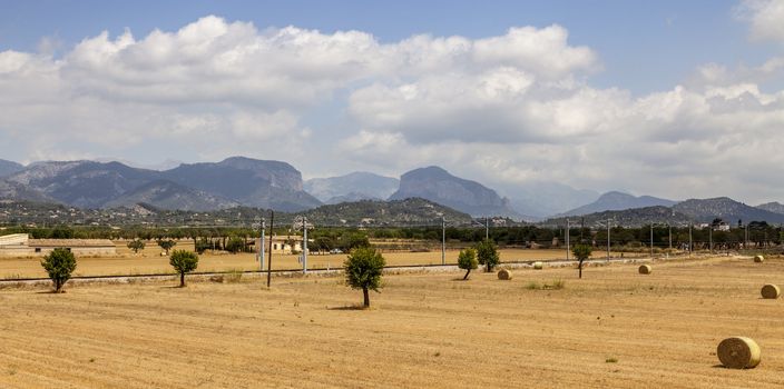 Field landscape with hay bales, Mediterranean vegetation and iconic mountains in the background (Puig d'Alaro and Puig de s'Alcadena) Located near Alaro town in Mallorca, Balearic Islands, Spain