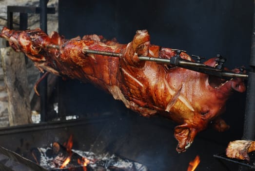 Pig on the grill 