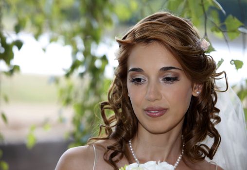 The beautiful bride on a green background