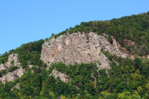 rocks in the middle of a wild forest