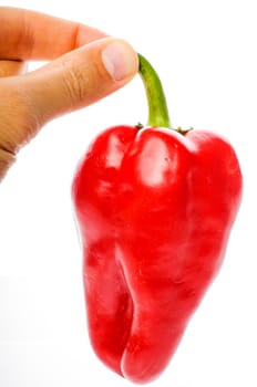 Hand with big red pepper isolated on white background