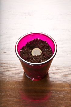a glass with one euro coin like plant
