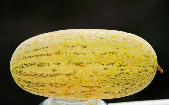 Beautiful, tasty melon