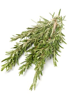 Bunch of Perfect Rosemary isolated on white background