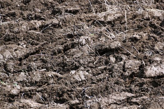 texture of plowed land just after the plough passed