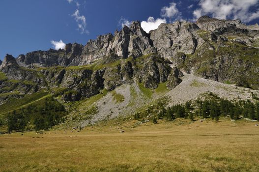 Summertime green mountain landscape in the Alps with peaks, Alpe Buscagna, Devero, Italy.