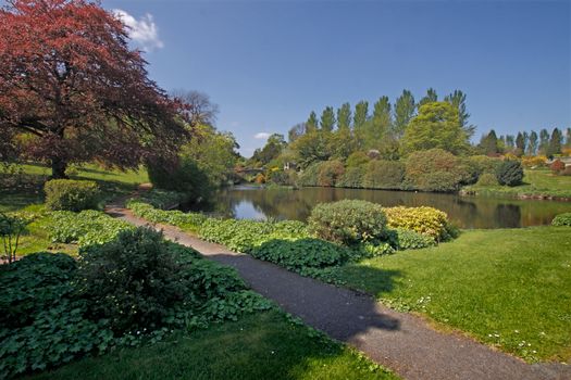 A small lake in a wonderfull garden in North Staffordshire, England
