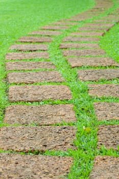 Garden stone path with grass 