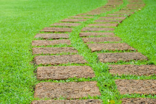 Garden stone path with grass 