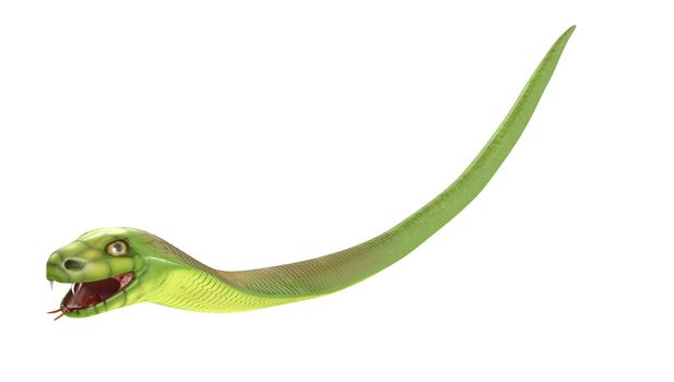 Green cobra flies or falls, isolated on white background