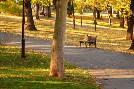 scenic autumn park at sunny day, trees and leaves on grass, Kalemegdan - Serbia