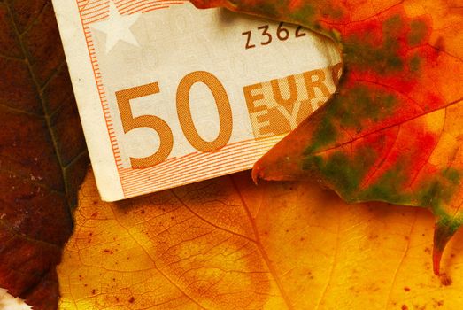 fifty euro banknote under natural red autumn leaves