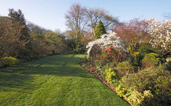 A good example of a householders private garden at Springtime in Newcastle Staffordshire England.