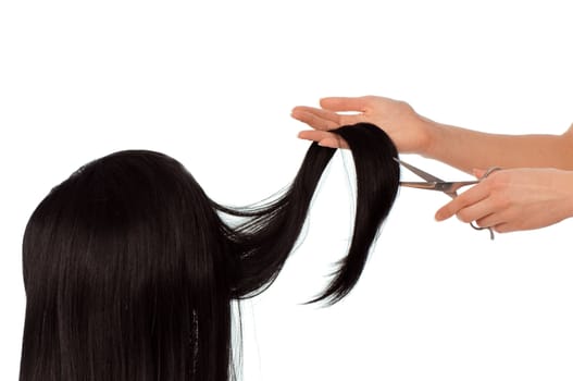 hairdresser cutting young woman with long black hair
