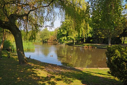 Brough Park is in Leek, a market town at the Southern end of the Peake District in Staffordshire England.