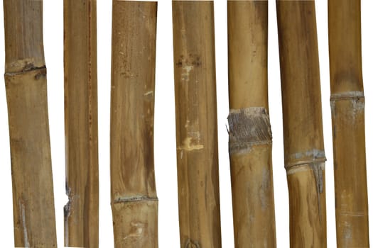 The natural bamboo frame. A white background.