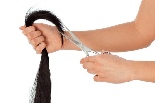 hairdresser cutting young woman with long black hair