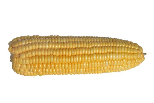 Sweet Corn beautiful yellow. Seeds by the beautiful. included clipping path.