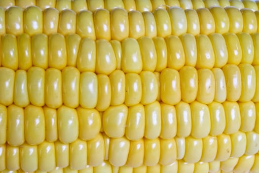 Sweet Corn beautiful yellow. Seeds by the beautiful.