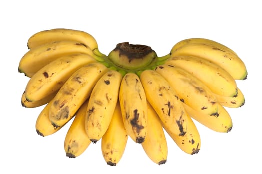 Bananas are yellow. On a white background.