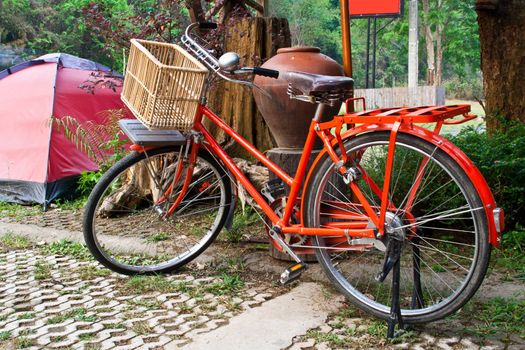 Old red bicycles, basket trees in the garden.