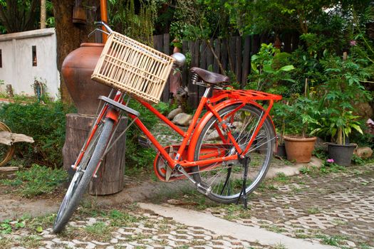 Old red bicycles, basket trees in the garden.