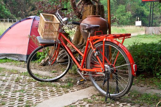 Old red bicycles, basket trees in the garden.