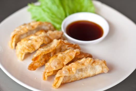 Dim Sum : Dumpling. Steamed on a White dish.