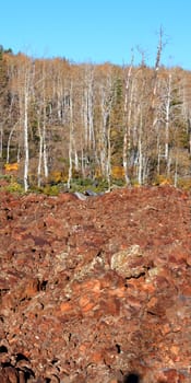 Panoramic view of the Dixie National Forest in Utah.