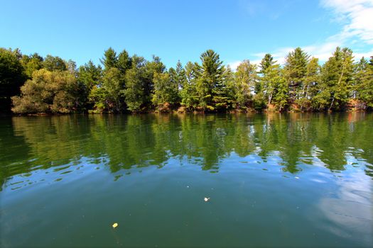 Pine trees along the shoreline of Lake Minocqua in northwoods Wisconsin.