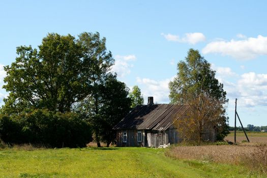 The wooden house on a background of trees