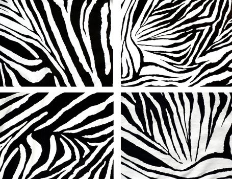 zebra style fabric