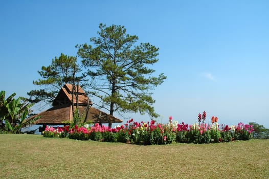 garden