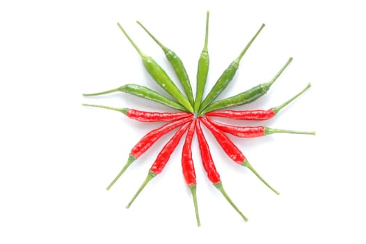 fresh chili