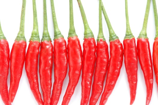 fresh chili