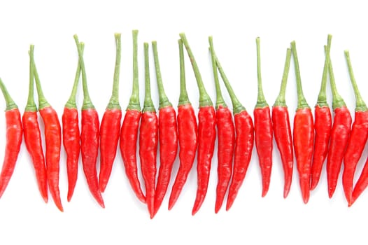 fresh chili