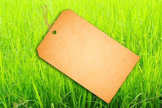 Sale Tag On Green rice fields